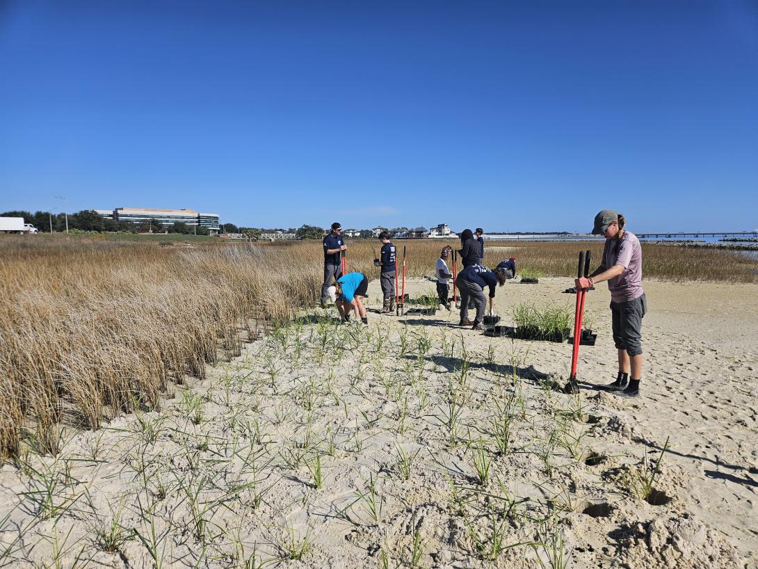 Project Greenshores